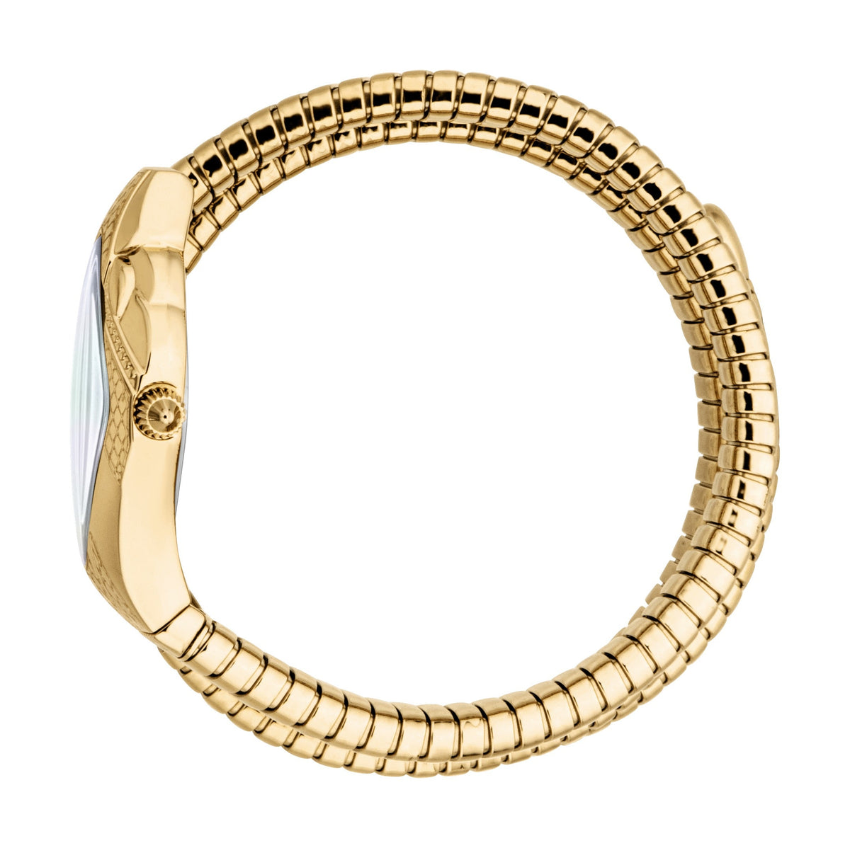 JUST CAVALLI CRISTALLO JC1L307M0025