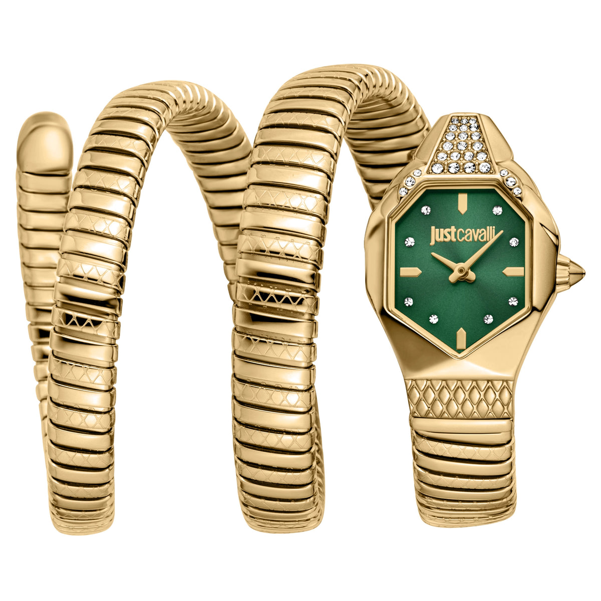 JUST CAVALLI AMBRA JC1L370M0035