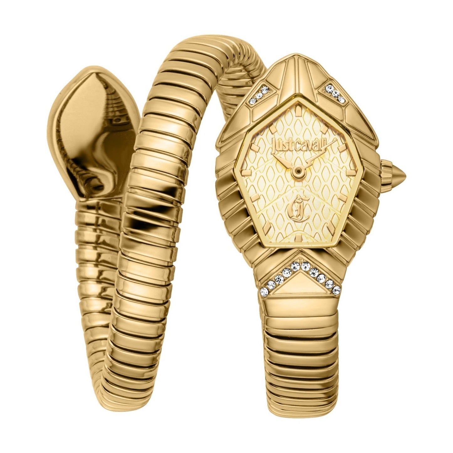 JUST CAVALLI SPERANZA JC1L356M0025