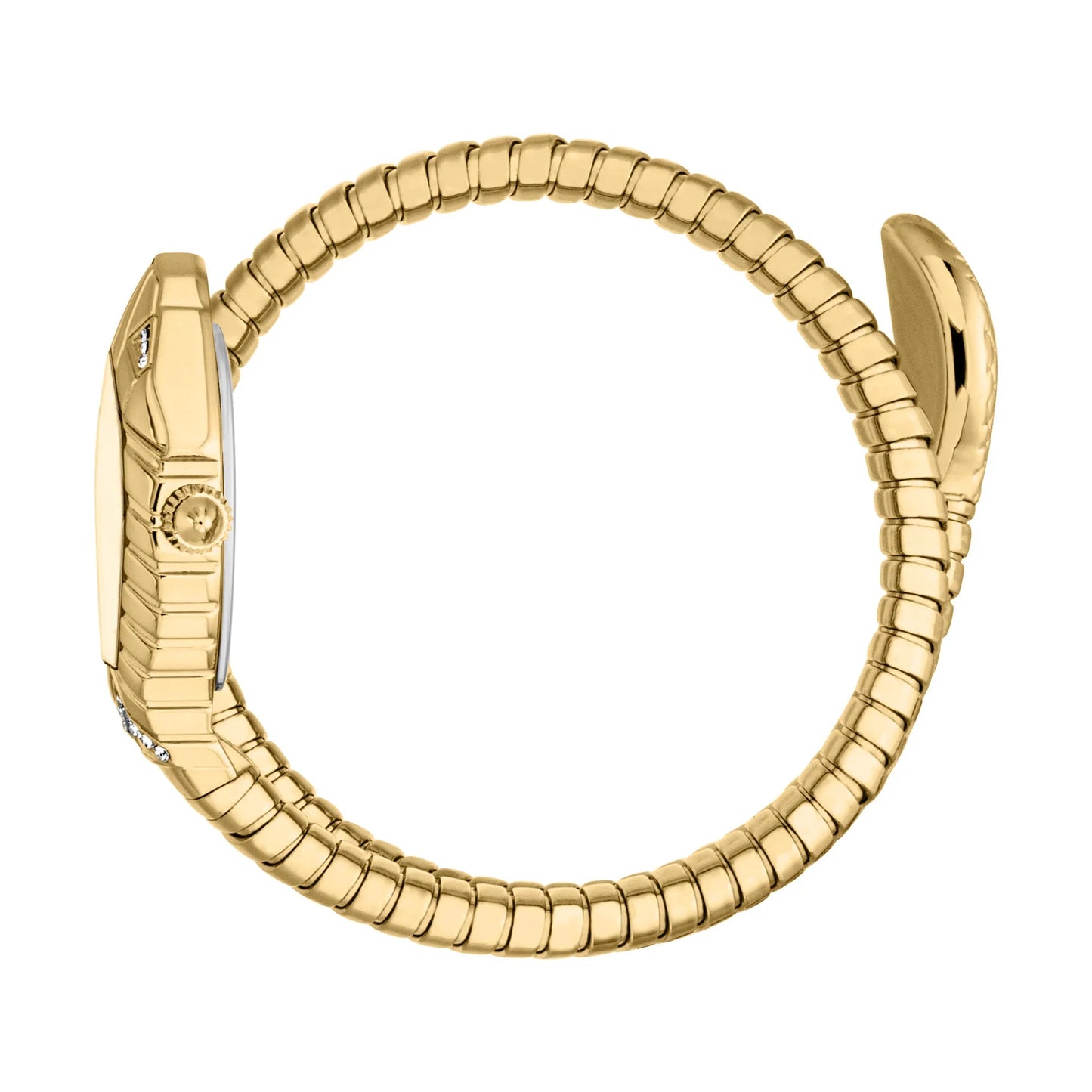 JUST CAVALLI SPERANZA JC1L356M0025