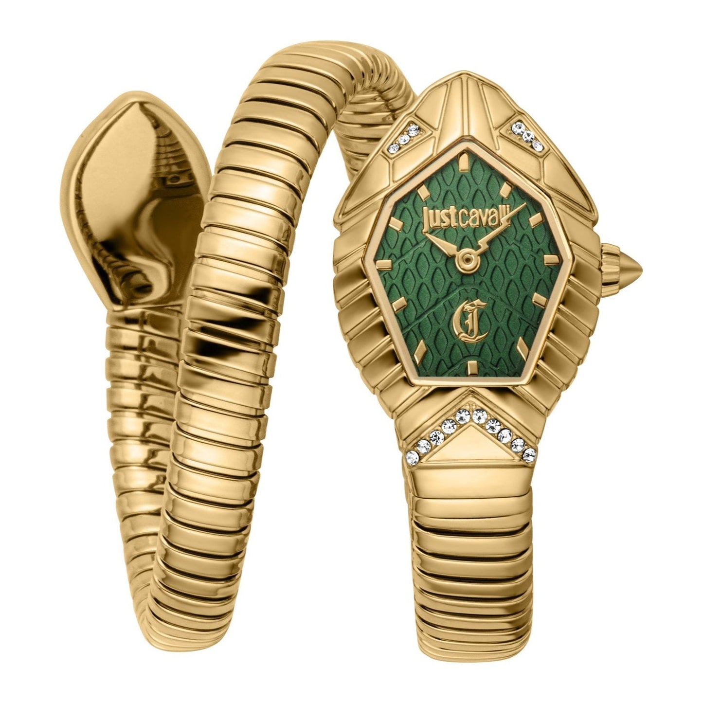 JUST CAVALLI SPERANZA JC1L356M0035
