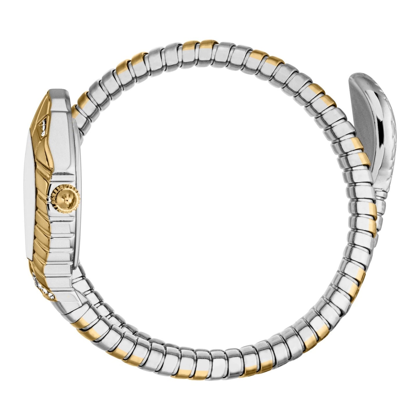 JUST CAVALLI SPERANZA JC1L356M0055