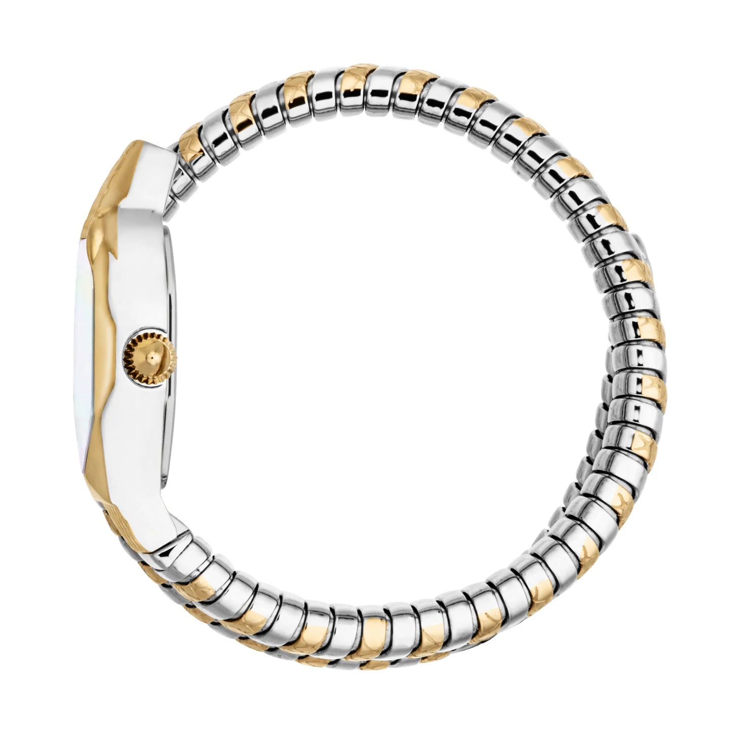 JUST CAVALLI ARIA JC1L369M0065