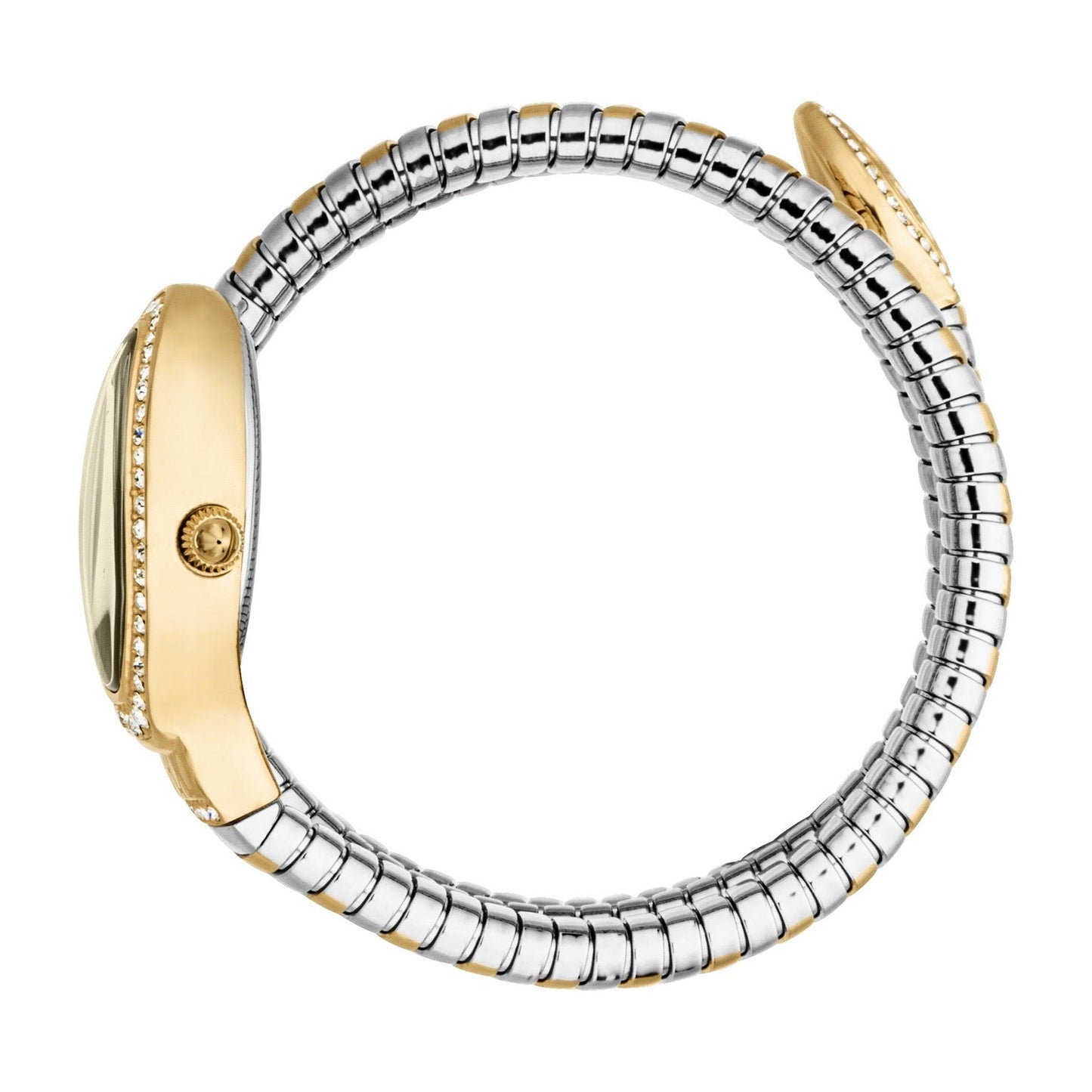 JUST CAVALLI CAREZZA JC1L372M0055