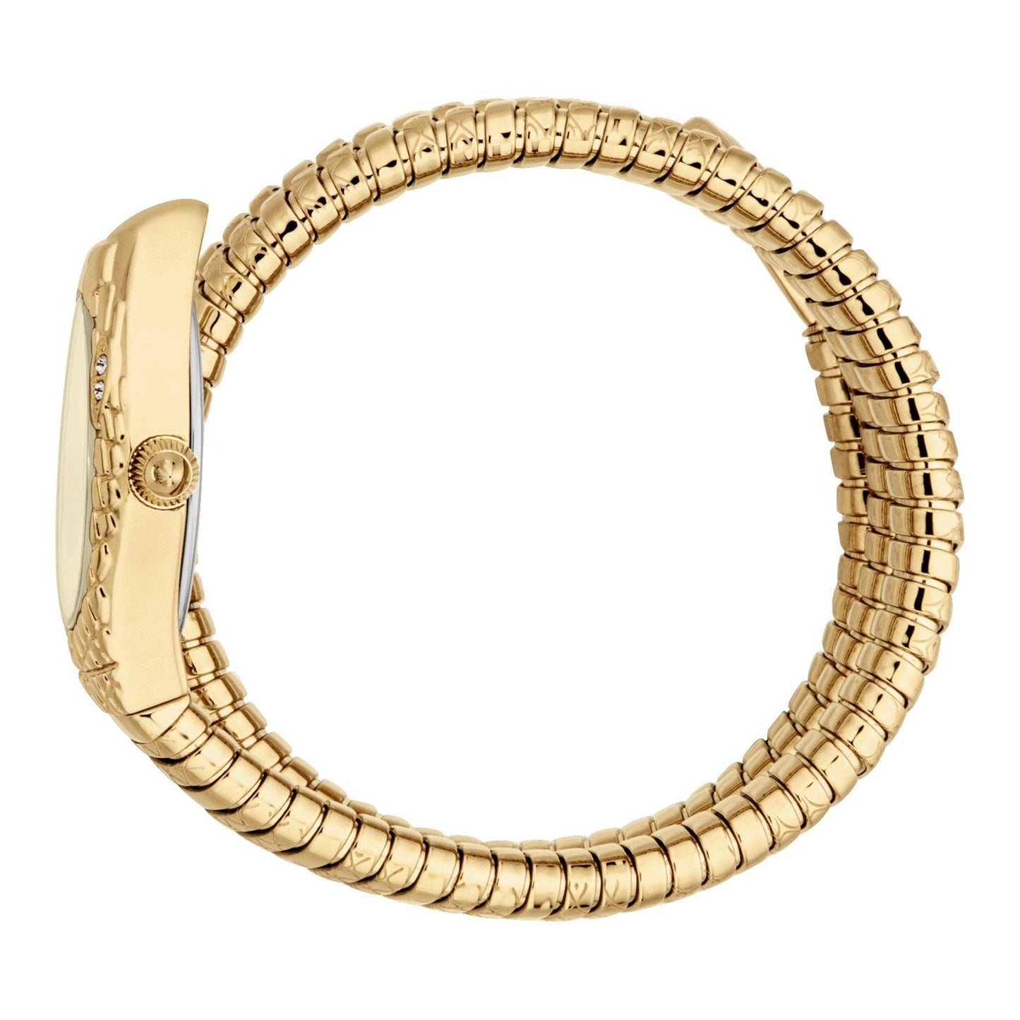 JUST CAVALLI AURELA JC1L374M0025