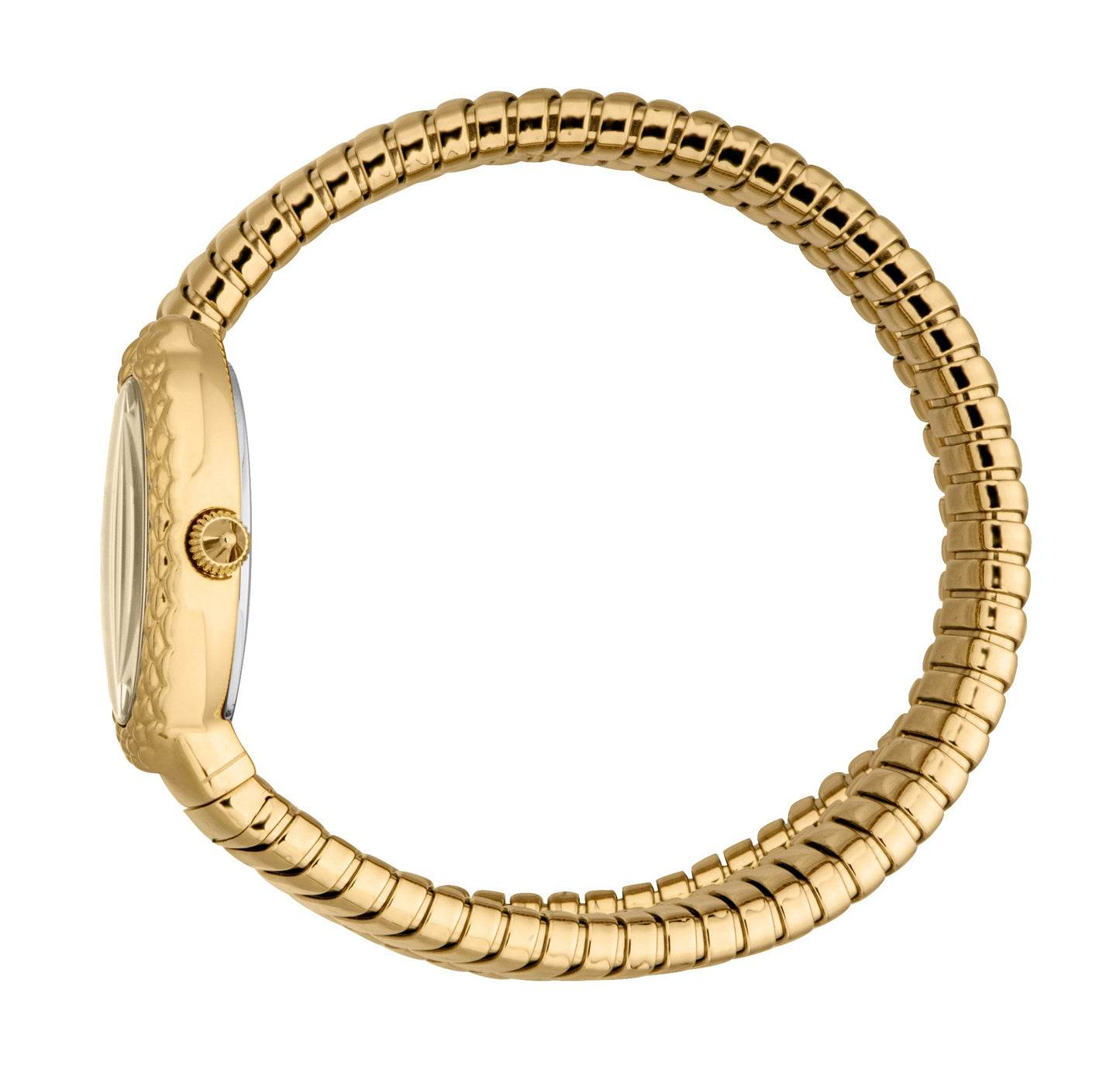 JUST CAVALLI SOGNIA JC1L391M0025