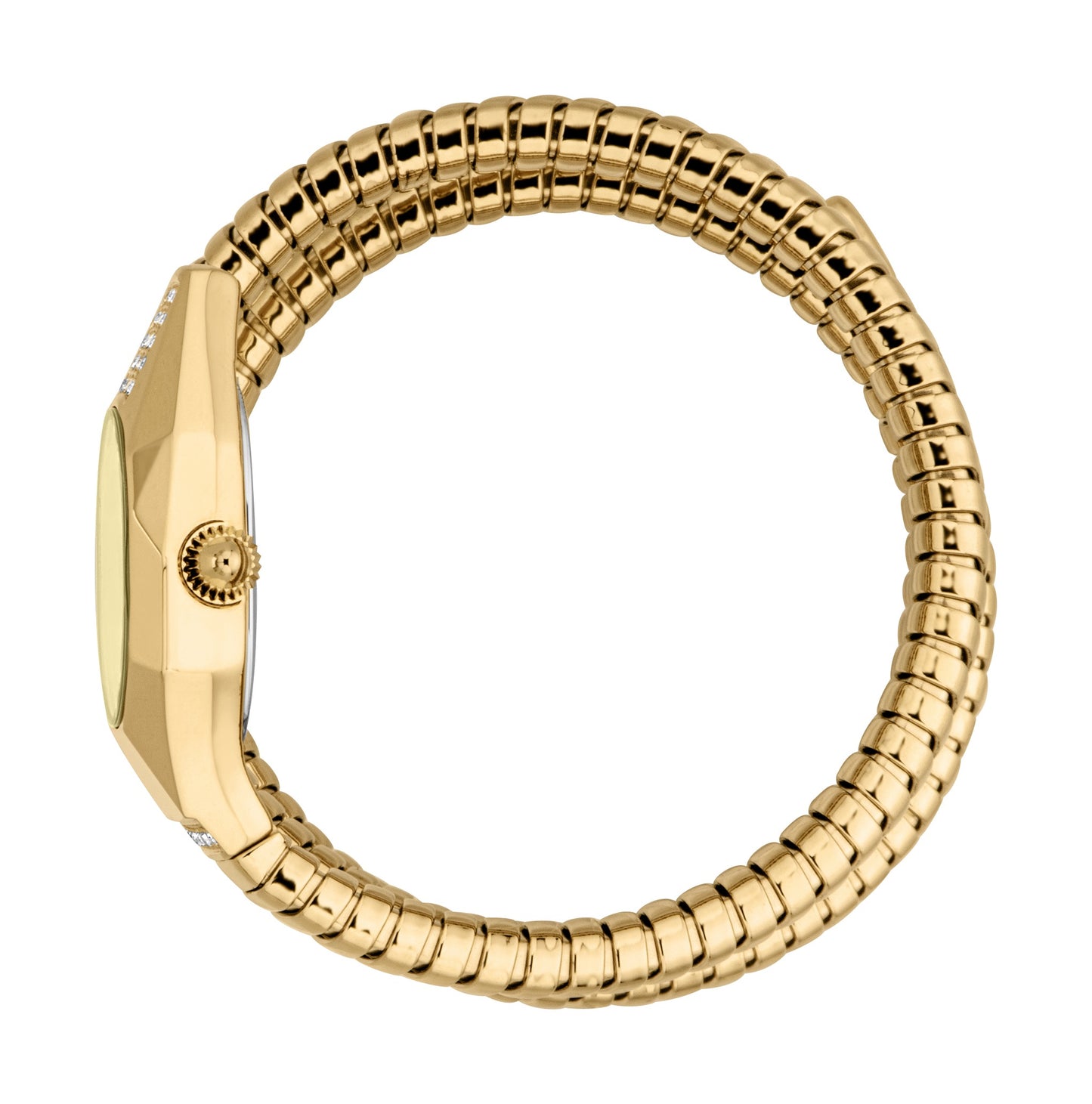 JUST CAVALLI LUNARA JC1L397M0035